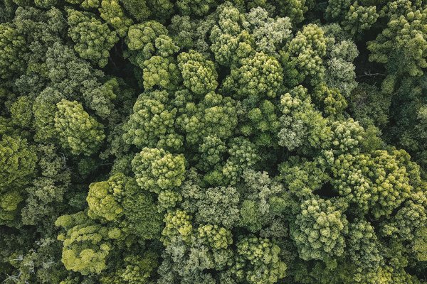 L'Impact des Comics sur les Tendances de la Mode : Quand la BD Inspire le Style